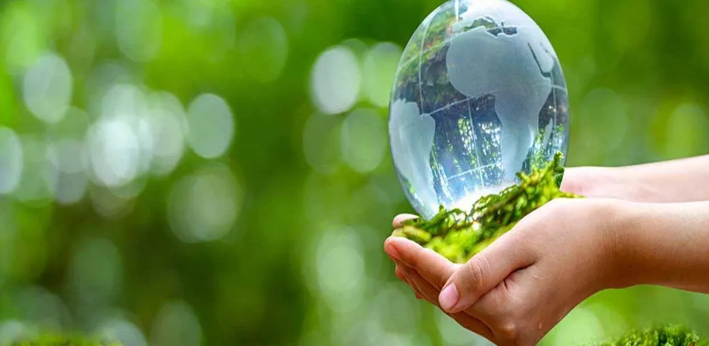 Legal Compliance Consulting
