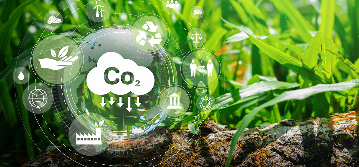 Carbon Footprint Reduction Consulting